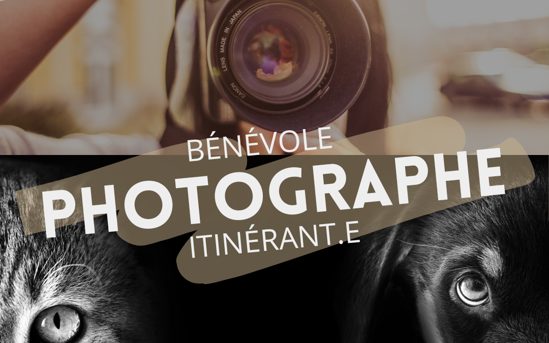 Bénévole – Photographe itinérant.e