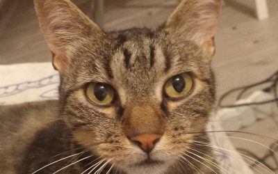 POST-IT – 8,5 ANS – ♂︎