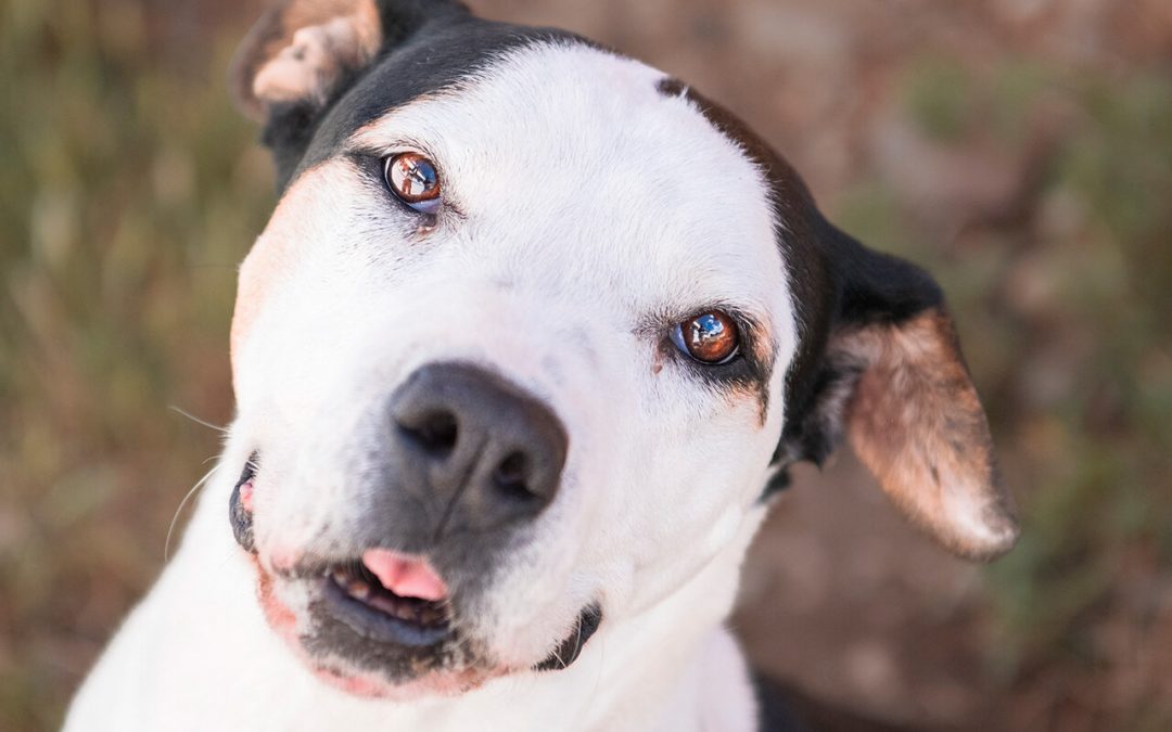 KHYALA – 11 ANS – ♀︎