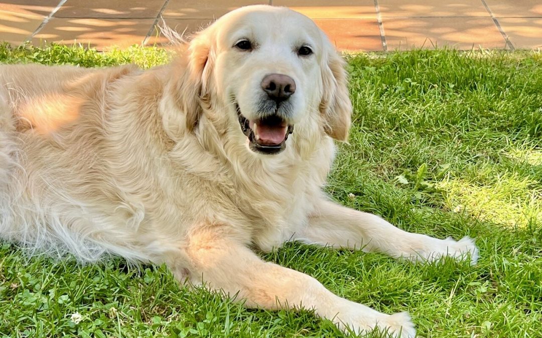 MALY – 8,5 ANS – ♀︎