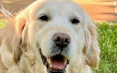 MALY – 8,5 ANS – ♀︎