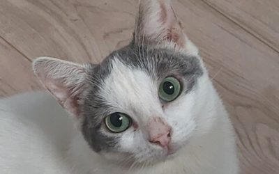 AURKA – 2 ANS – ♀︎