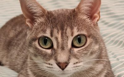 YUMI – 2 ANS – ♀︎