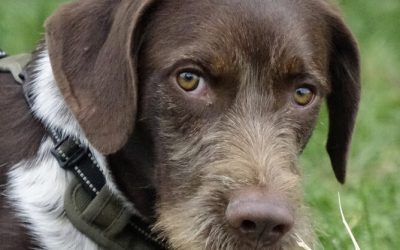 AIKO – 8 MOIS – âïž