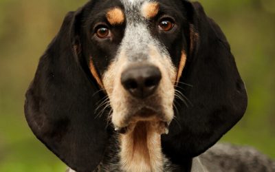 CHELLY – 6,5 ANS – ♀︎