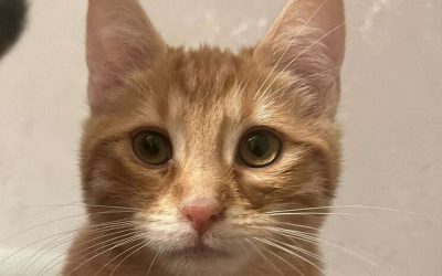 ELYA – 3 MOIS – âïž