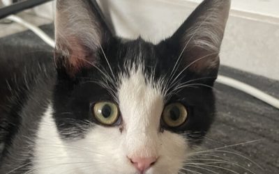 ELYO – 6 MOIS – âïž