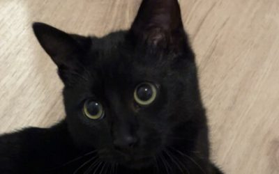 EROS – 10 MOIS – âïž