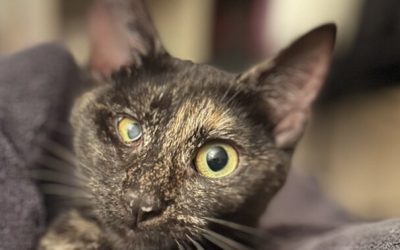 HAYA – 7 MOIS – ♀︎