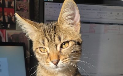 MIEKKI – 5 MOIS – âïž