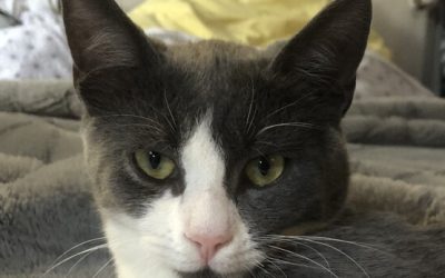 MILOH – 7 MOIS – âïž