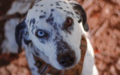 OJI – 13 ANS – ♂︎