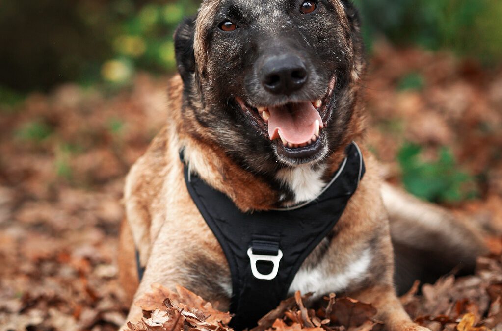 SOLEYA – 7 ANS – ♀︎