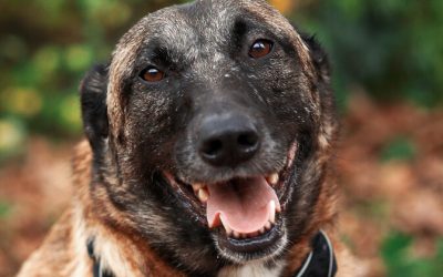 SOLEYA – 7 ANS – ♀︎