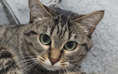 YURA – 1,5 AN – ♀︎