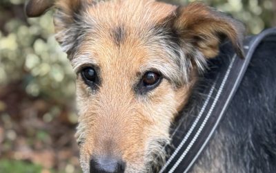 MANILLE – 12 ANS – ♀︎