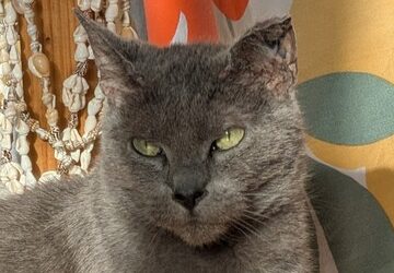 SKĂLL – 10 ANS – âïž