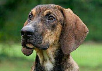 TABOO – 7 MOIS – âïž