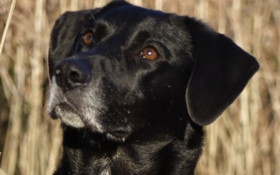 TIKO – 5 ANS – ♂︎