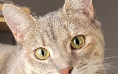 ALESIA – 9 MOIS – ♀︎