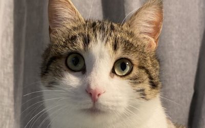 BLUSH – 10 MOIS – ♂︎