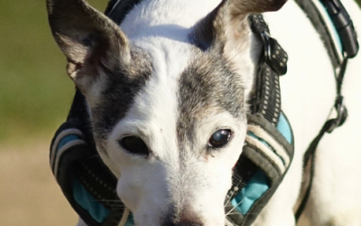 EDEN – 16 ANS – ♀︎