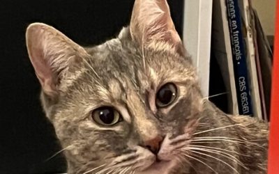 SAKI – 9 MOIS – ♀︎