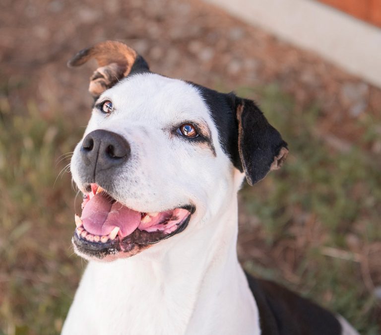 KHYALA – 11 ANS ♀