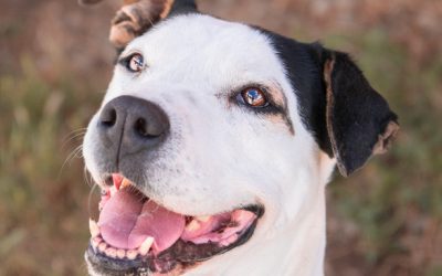 KHYALA – 11 ANS ♀