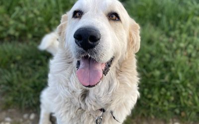 MIE – 5 ans – ♀︎