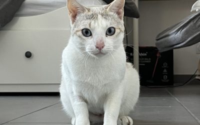 EBONY – 1 AN – ♀︎