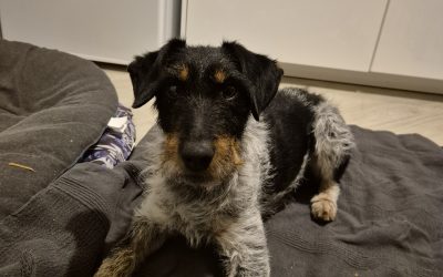 POE – 4 ans – ♀︎