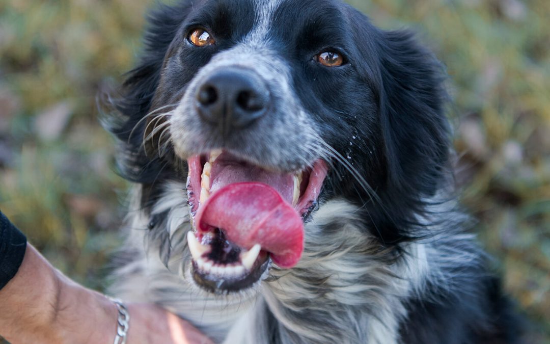 RYOH – 5 ans – ♂︎