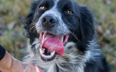 RYOH – 5 ans – ♂︎