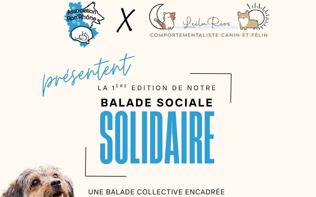 Balade sociale solidaire – 07 et 28 juin !