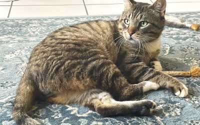 ARKEM – 8,5 ans – ♂︎