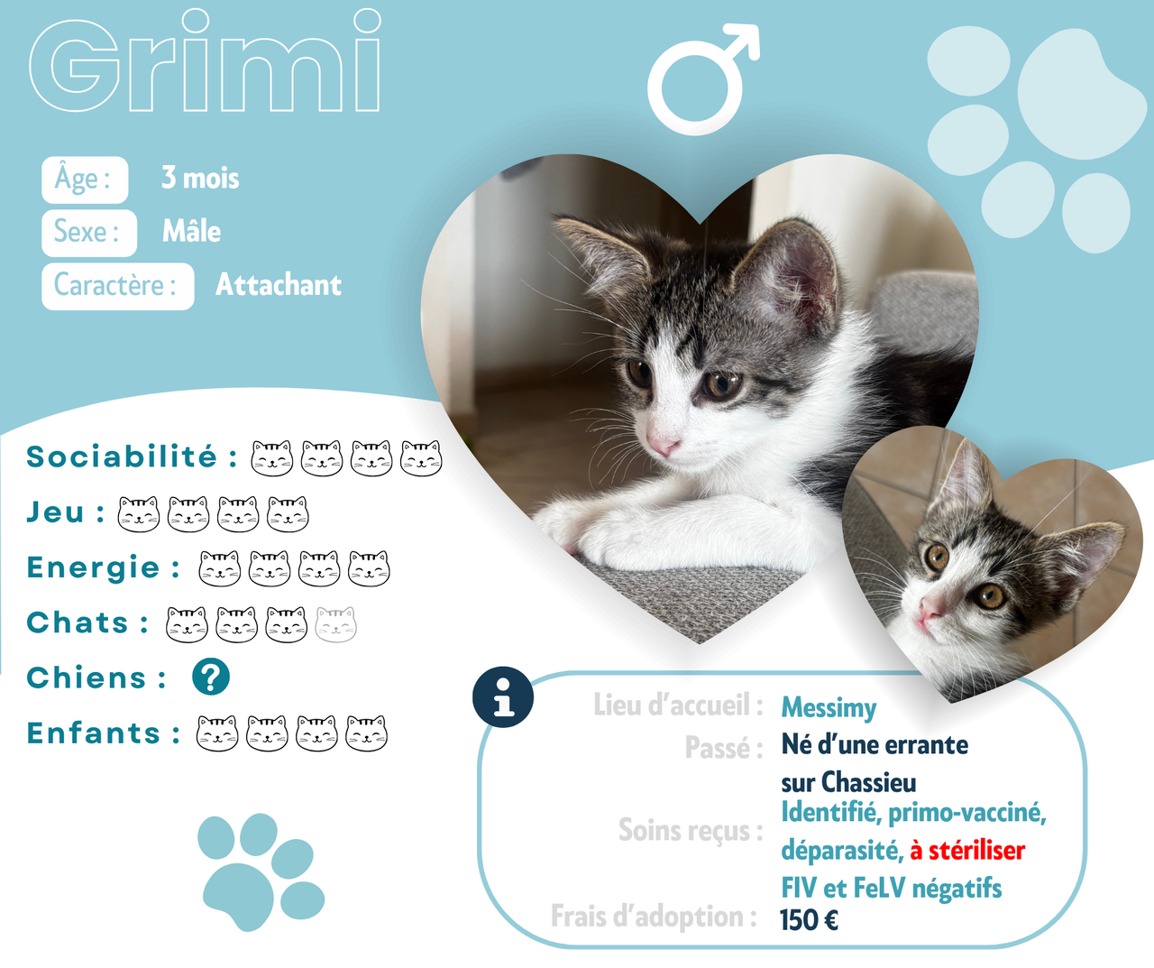 Visuel de présentation de Grimi