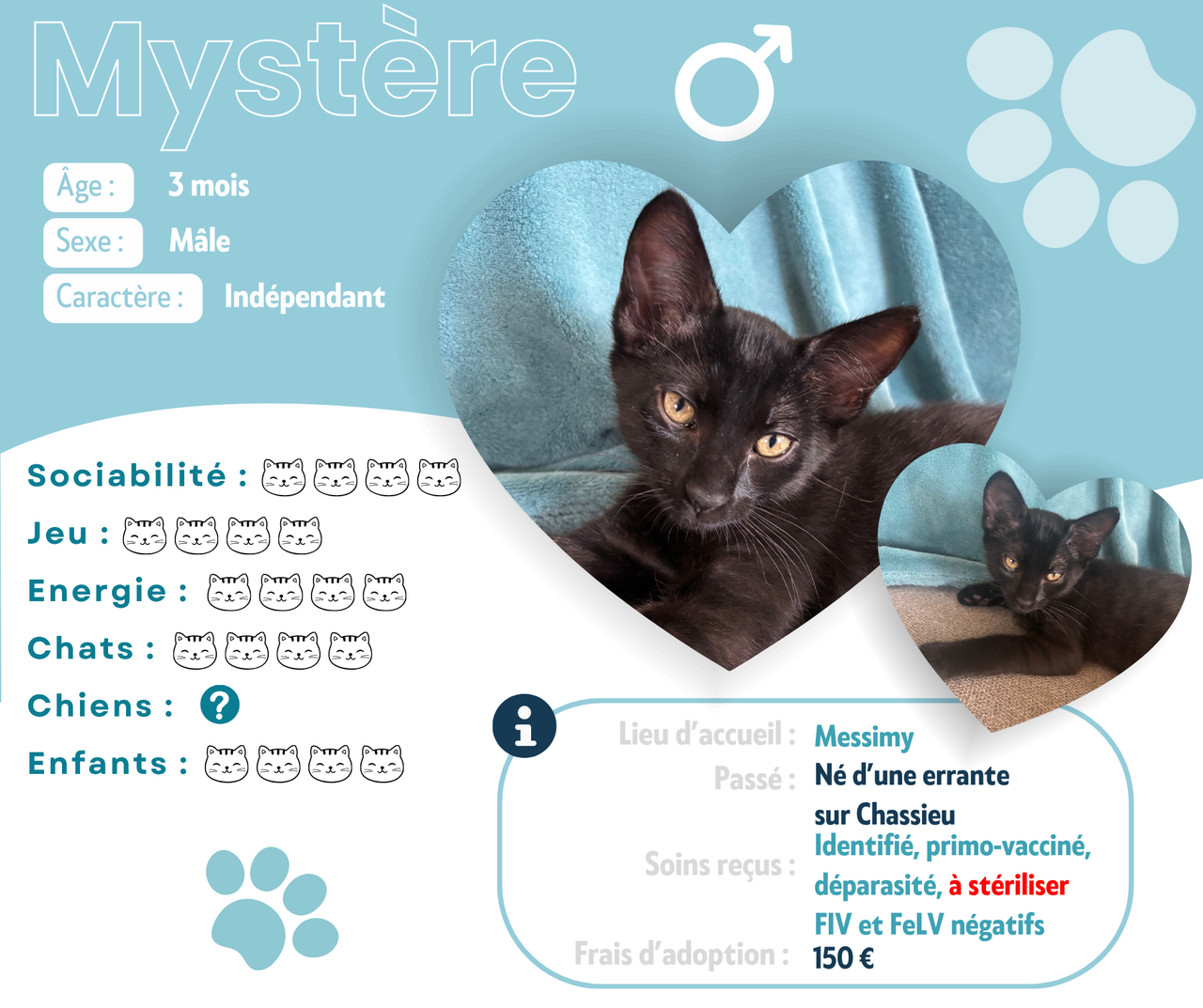 Visuel de présentation de Mystère