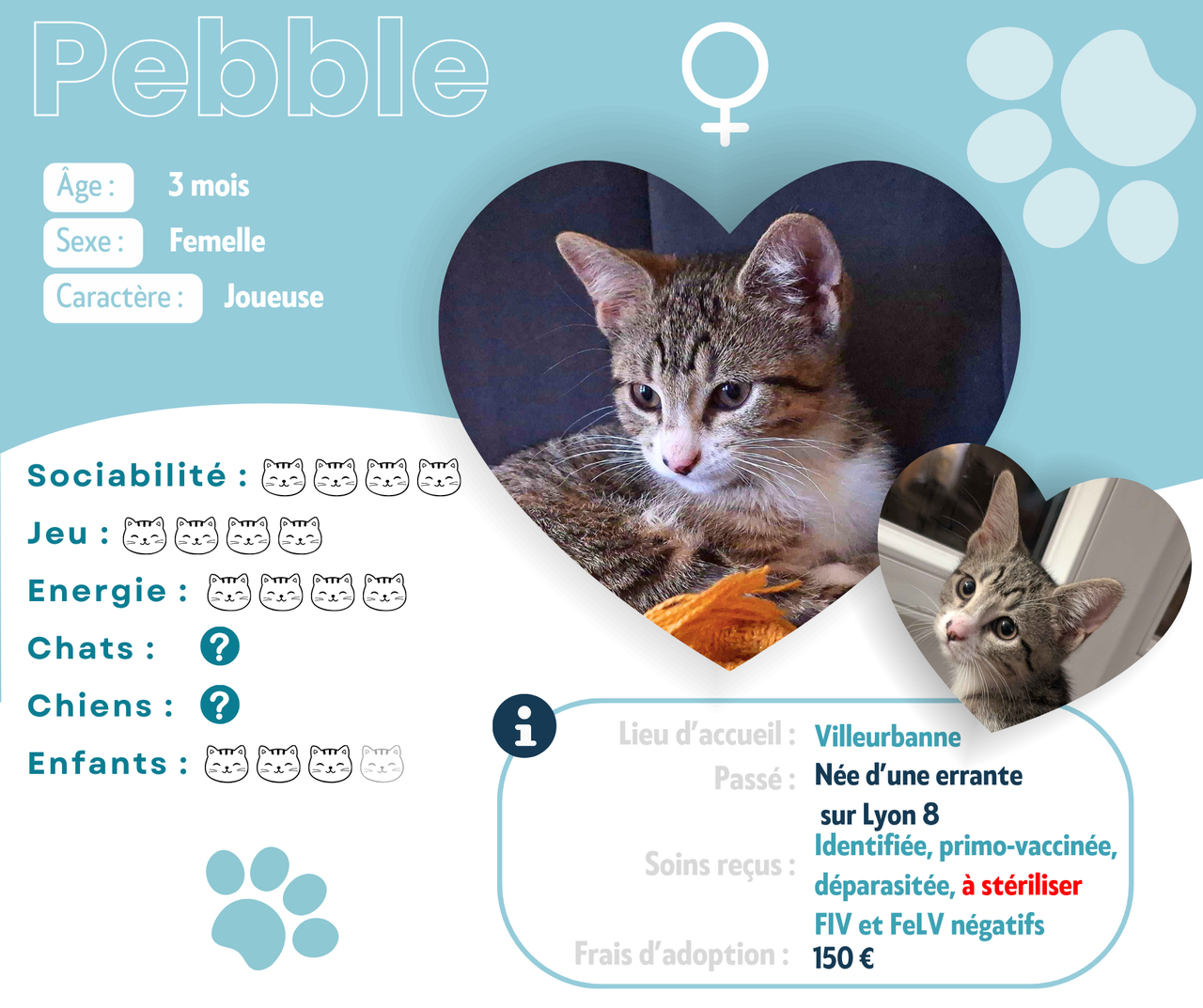 Visuel de présentation de Pebble