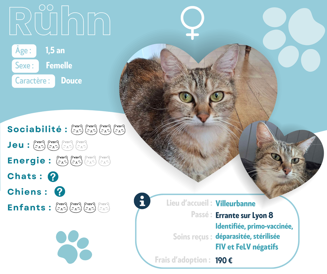 Visuel de présentation de Ruhn