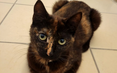 Saturne –  4,5 ans – ♀︎