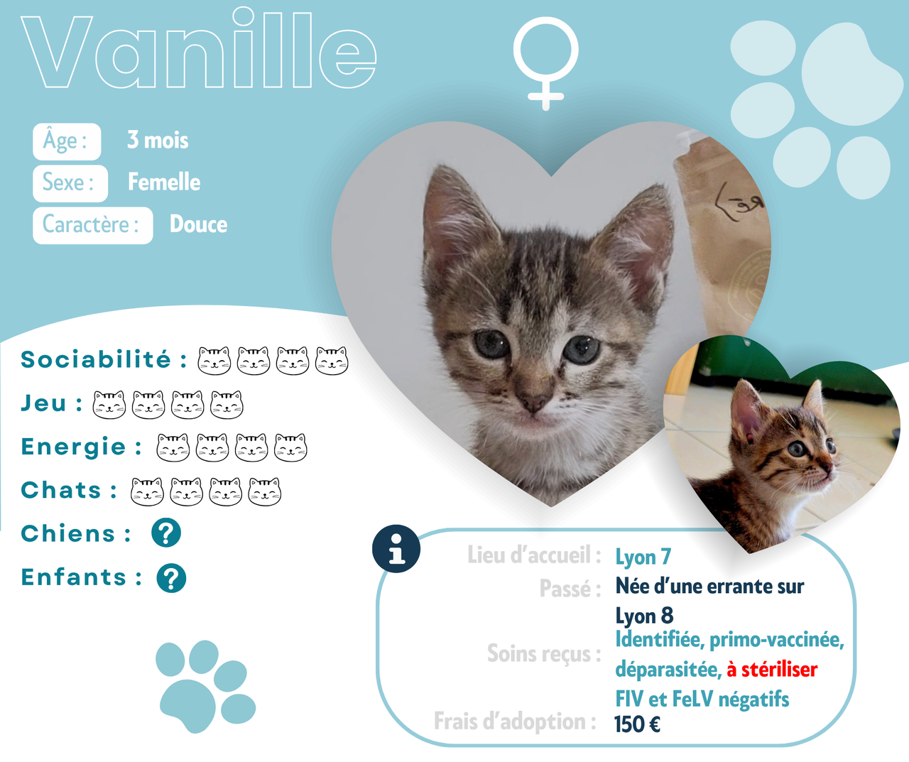 Visuel de présentation de Vanille