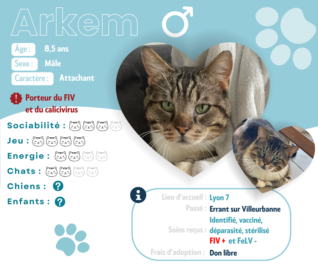Visuel de présentation d'Arkem
