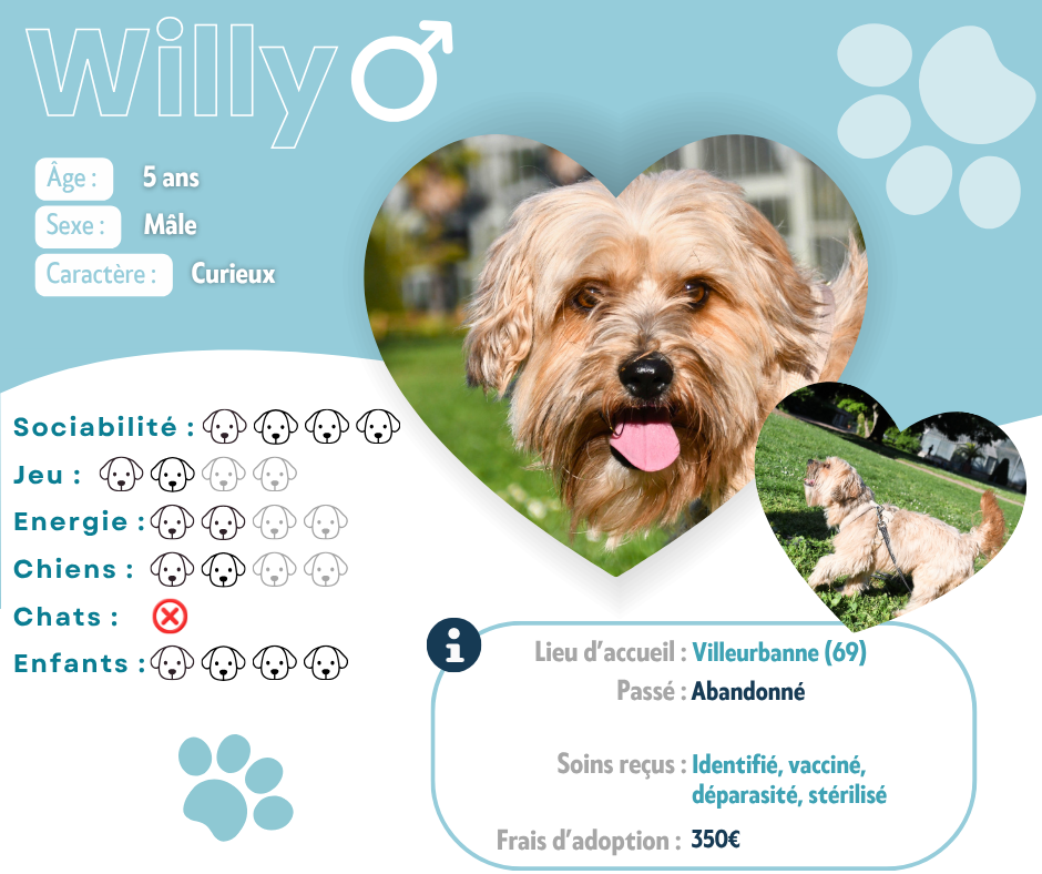 Visuel de présentation de Willy