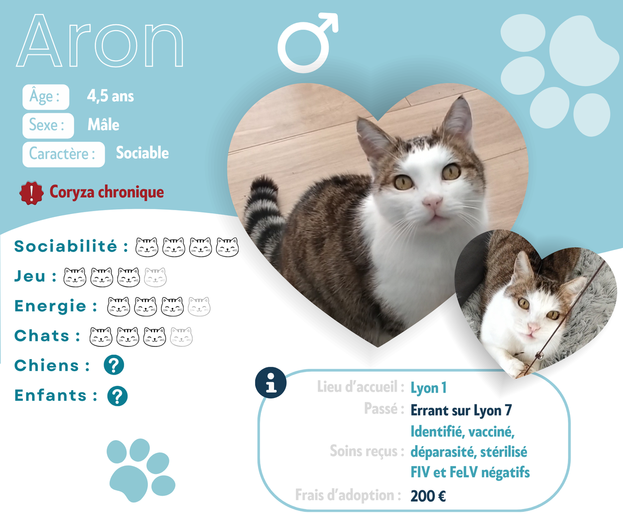 Visuel de présentation d'Aron