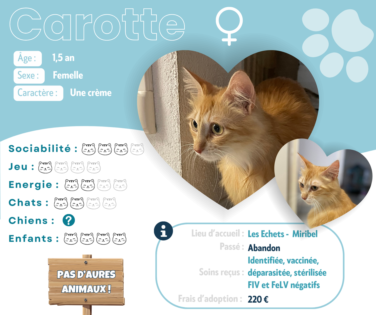 Visuel de présentation de Carotte
