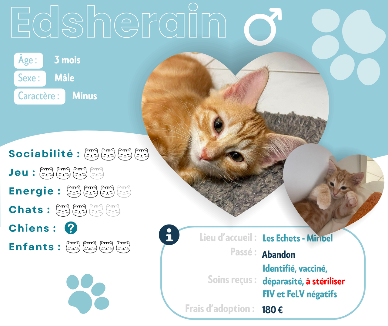 Visuel de présentation d'Edsherain