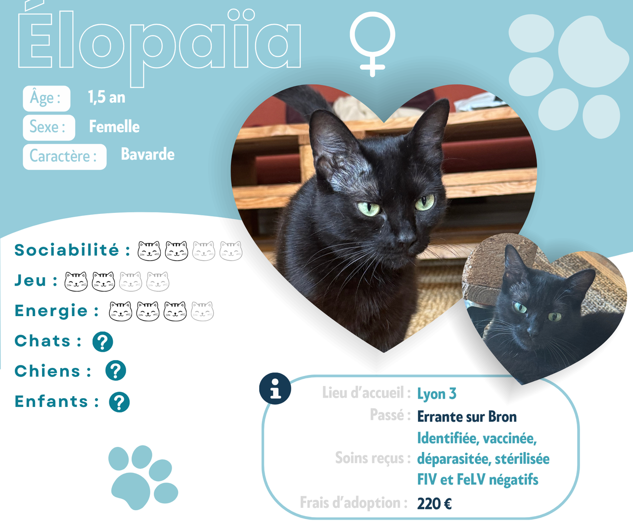 Visuel de présentation d'Elopaïa