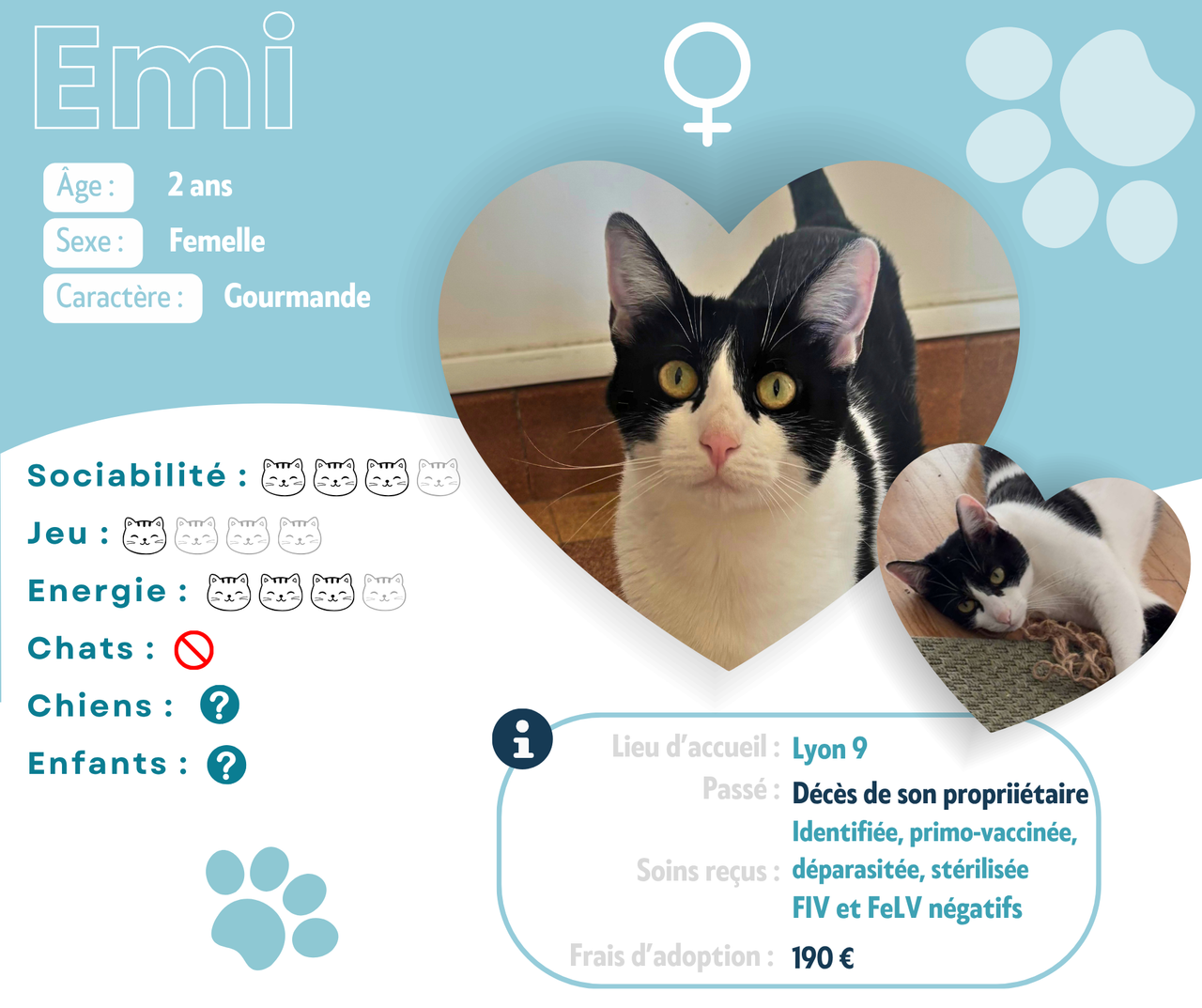 Visuel de présentation d'Emi