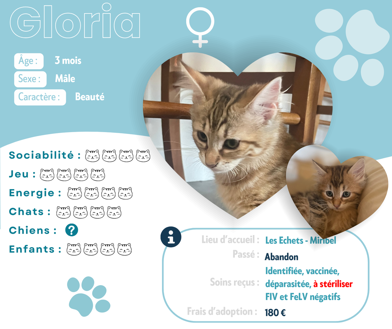 Visuel de présentation de Gloria
